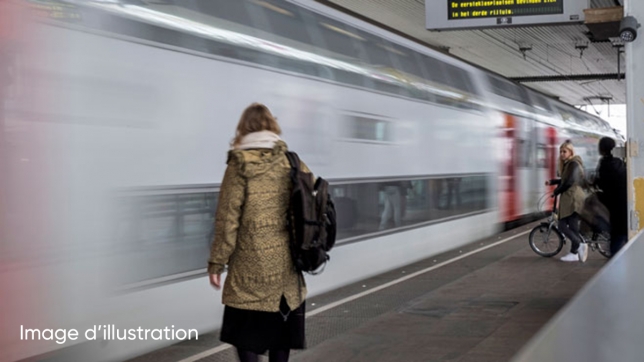 Edition numérique des abonnés