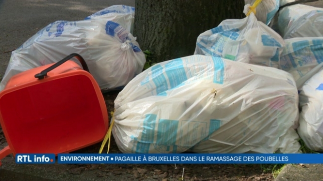 Les premiers couacs de la réforme de la collecte des déchets à Bruxelles