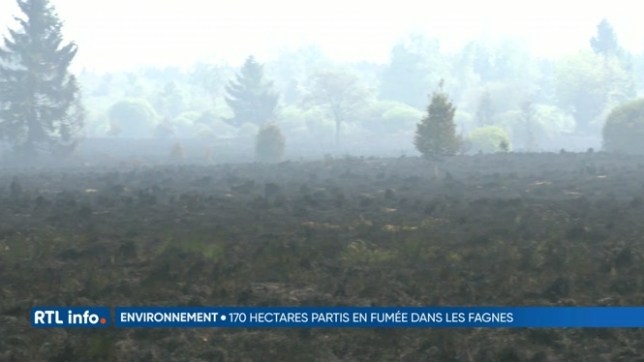 170 hectares de végétation partis en fumée dans les Fagnes