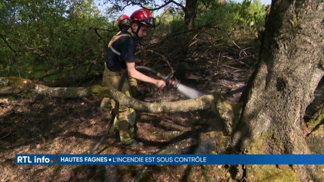 Incendie dans les Fagnes: immersion avec les pompiers au coeur de la forêt