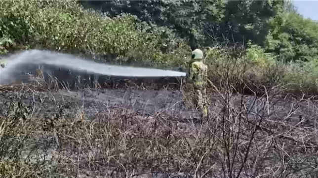 Un incendie à Chatelineau ravage un terrain vague et menace des habitations