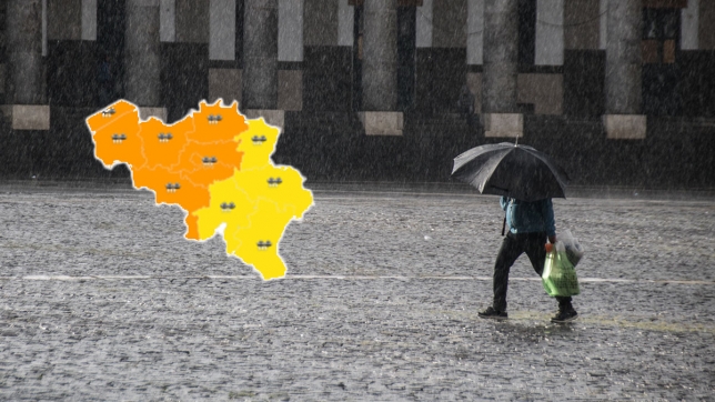 Edition numérique des abonnés