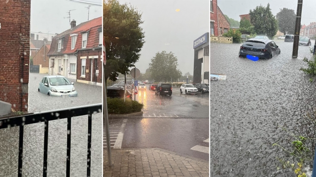 Edition numérique des abonnés