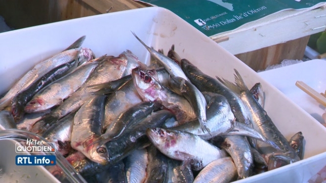 Malgré la hausse des prix, certains poissons restent très abordables