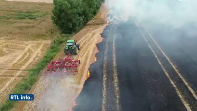 Le Roux: les pompiers se déploient en masse pour combattre un énorme feu de champ