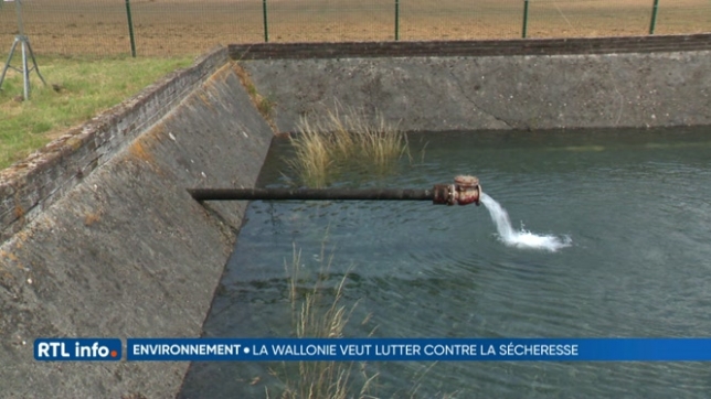 La Wallonie se prépare à davantage de périodes de sécheresse