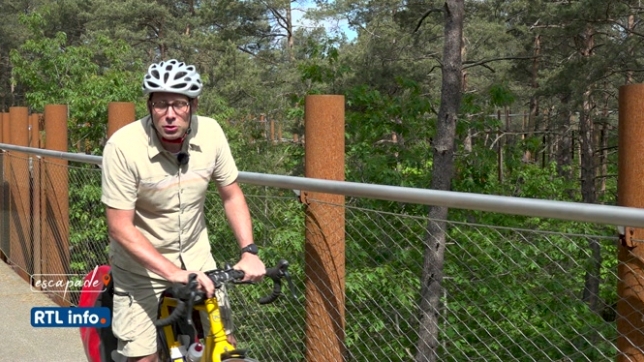 Escapade à vélo, au milieu des arbres, en province du Limbourg