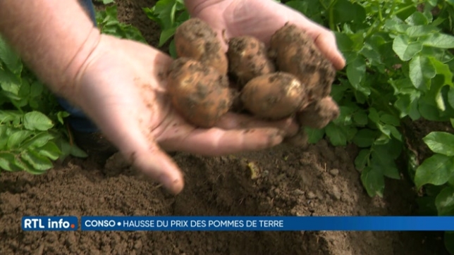 Le prix des pommes de terre a fortement augmenté ces derniers mois: + 35 % depuis mai !
