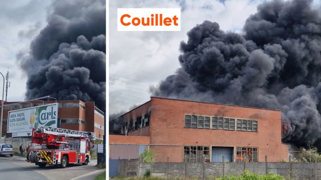 Edition numérique des abonnés