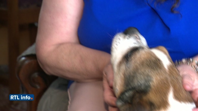 Agnès confie sa colère: Aucun vétérinaire de garde n’a voulu se déplacer pour soigner mon chien hurlant à la mort