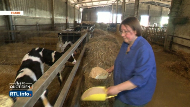 Des producteurs de lait se passent des industriels pour une plus juste rémunération