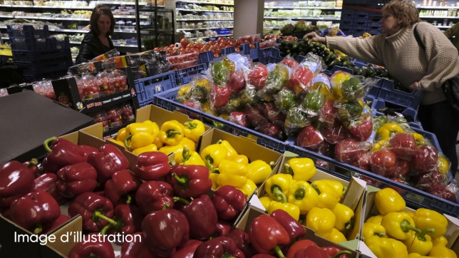 Edition numérique des abonnés