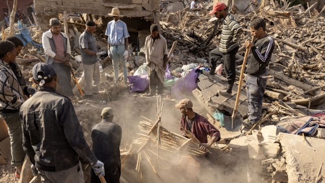 Edition numérique des abonnés