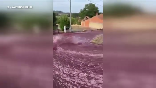 Une rivière pourpre dans la rue: des cuves à vin éclatent et inonde une ville au Portugal