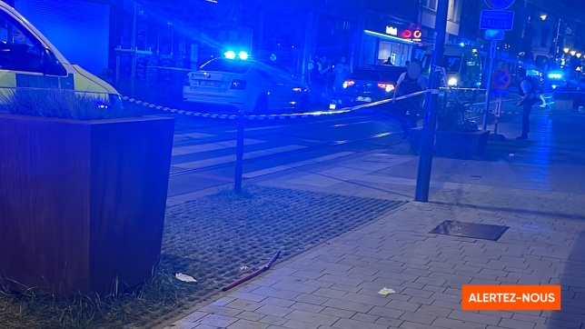 Edition numérique des abonnés