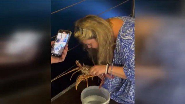 Cette touriste suisse paie 200 euros un homard dans un restaurant et... le remet à l