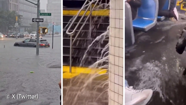 Edition numérique des abonnés