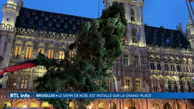 Le sapin de Noël de la Grand-Place de Bruxelles a été dressé ce matin