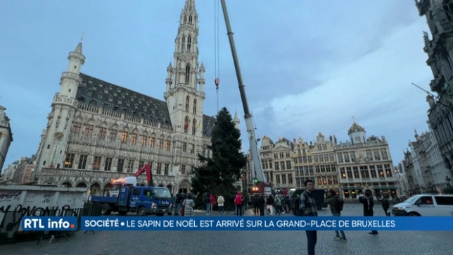 Le sapin de Noël de la Grand-Place de Bruxelles a été dressé ce matin
