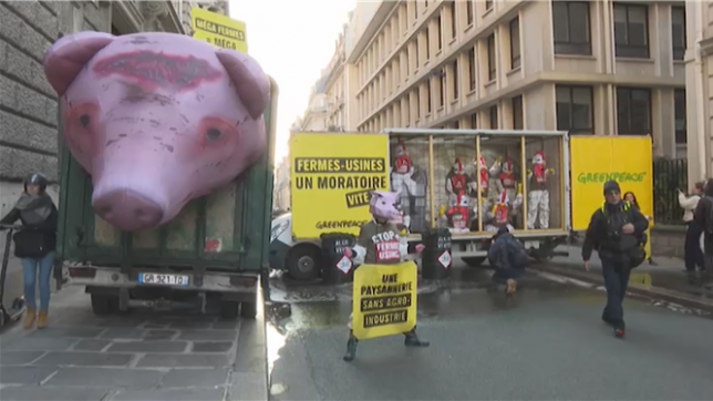 Fermes-usines: Greenpeace déverse du lisier devant le ministère de l