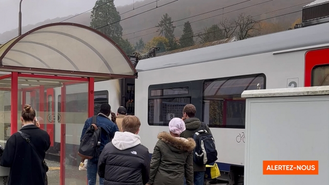 Edition numérique des abonnés