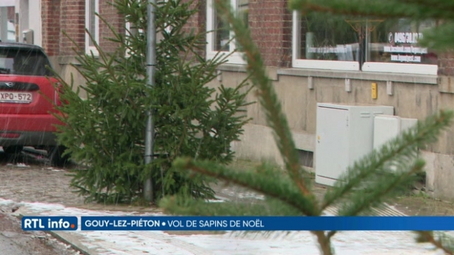 Vol de 10 sapins de Noël installés en rue par la commune à Gouy-lez-Piéton