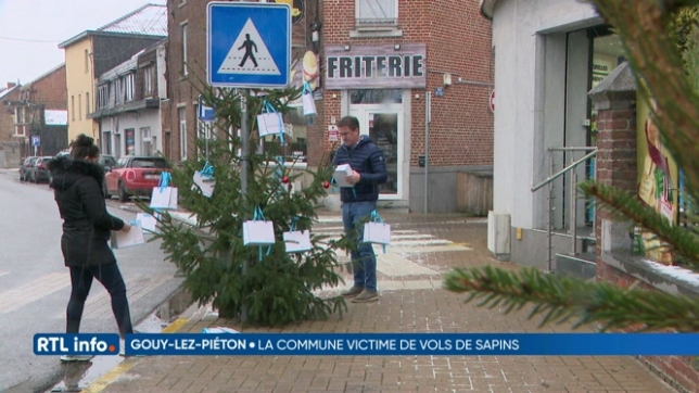 Vol de 10 sapins de Noël installés en rue par la commune à Gouy-lez-Piéton