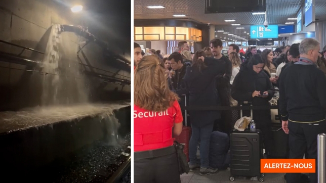 Edition numérique des abonnés