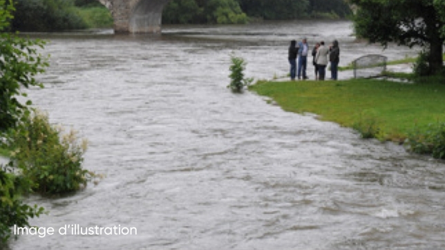 Edition numérique des abonnés