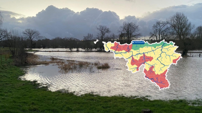 Edition numérique des abonnés