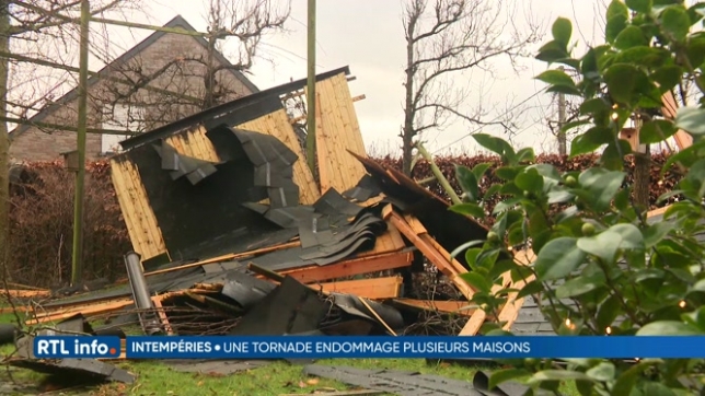 Intempéries: une tornade a balayé la commune de Wavre-Sainte-Catherine