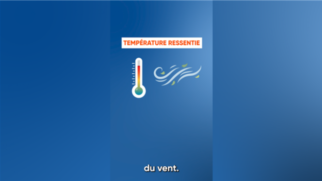 Quelle différence entre température réelle et température ressentie?