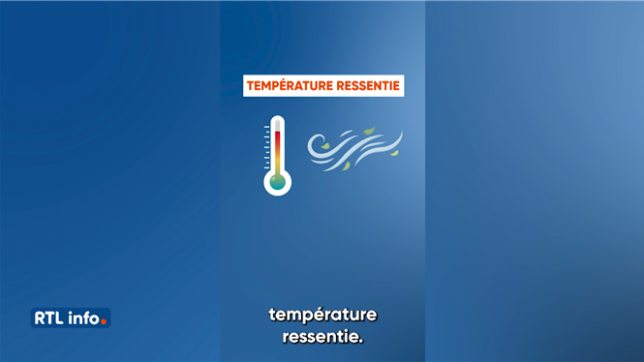 Quelle est la différence entre la température réelle et la température ressentie?