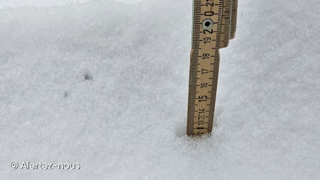 Edition numérique des abonnés