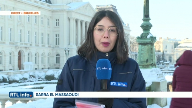 Intrusion au palais royal de Bruxelles: le point avec Sarah El Massaoudi