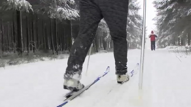 Edition numérique des abonnés