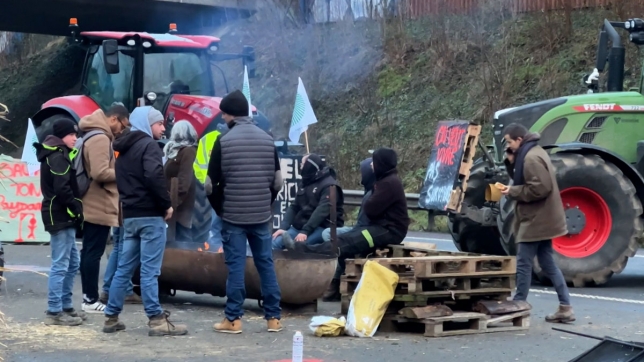 Edition numérique des abonnés