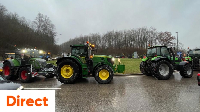 Edition numérique des abonnés