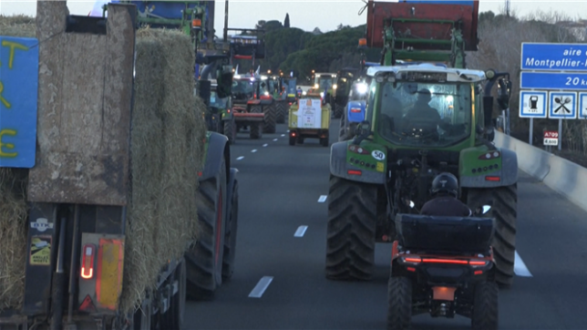 En France, la mobilisation des agriculteurs continue
