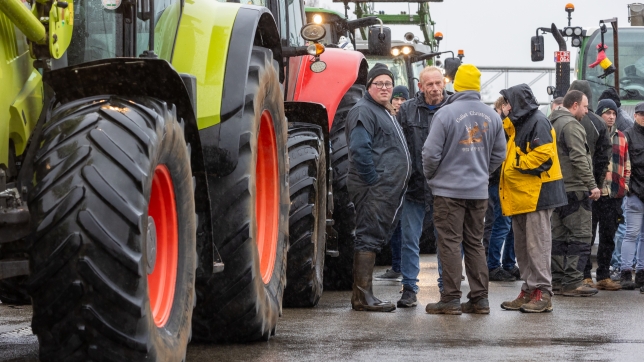 Edition numérique des abonnés