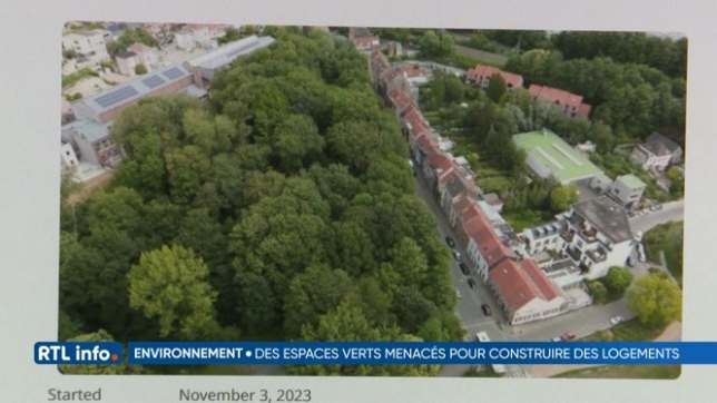 Logements contre espaces boisés à Bruxelles, comment gérer les enjeux ?