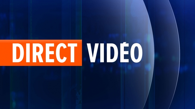 Le Discours du Roi (30 janvier)