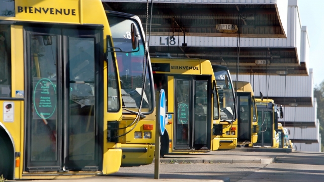 Edition numérique des abonnés