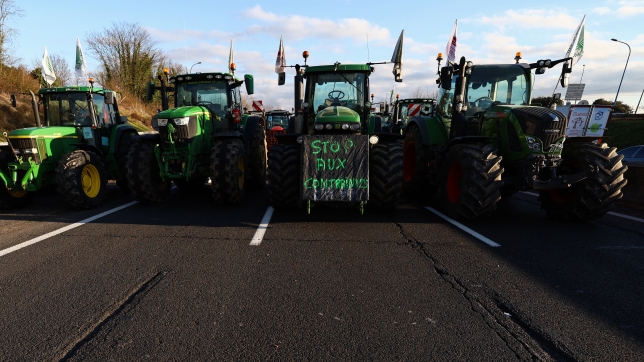 Edition numérique des abonnés