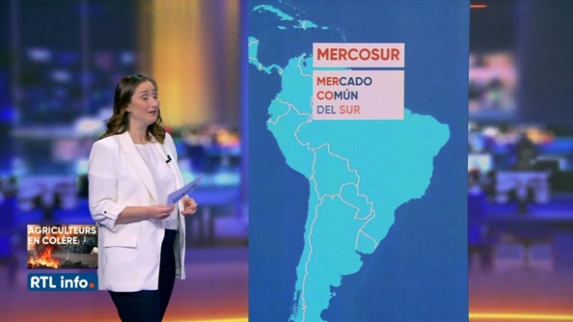 Focus sur le Mercosur, cet accord de libre-échange décrié par les agriculteurs