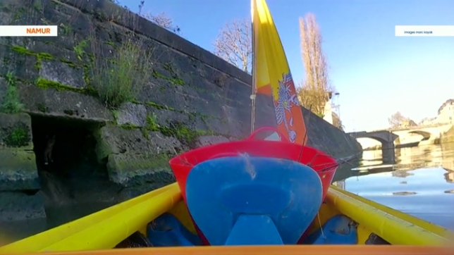 Sauvetage tout à fait singulier à Namur: un chat a eu la vie sauve, grâce à un kayakiste