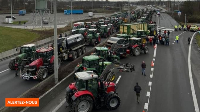 Edition numérique des abonnés