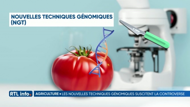 Eclairage sur les nouvelles techniques génomiques pour les fruits et légumes