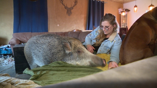 Edition numérique des abonnés