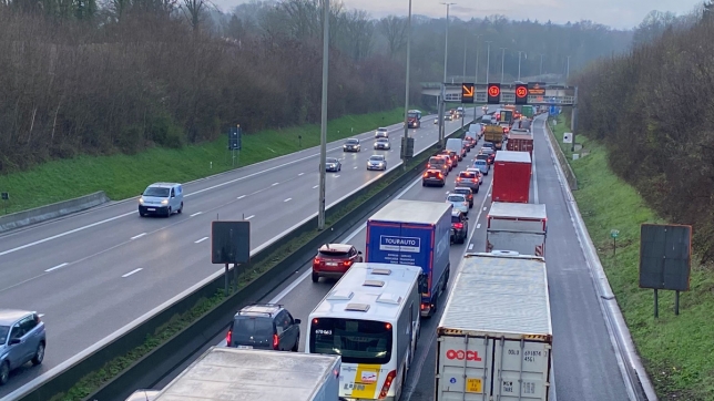 Edition numérique des abonnés